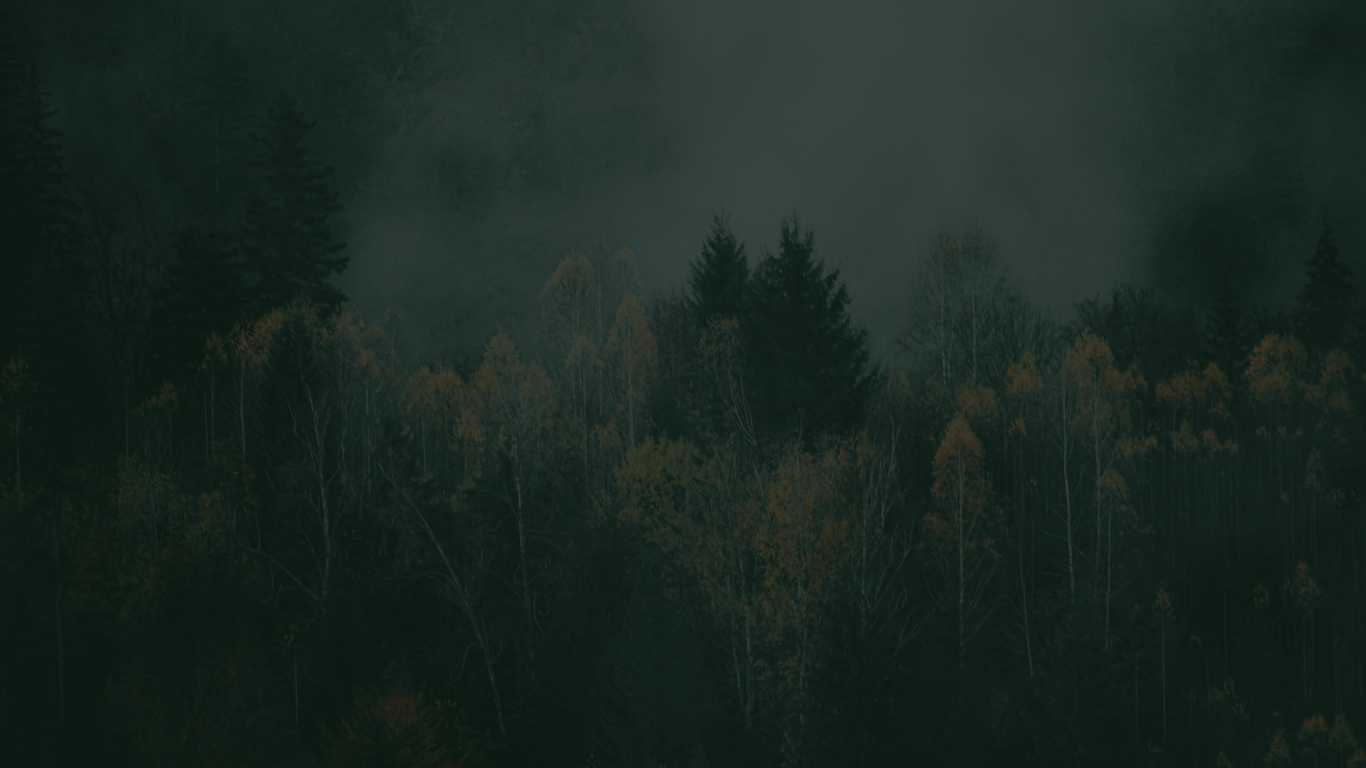 design-ohne-titel-1